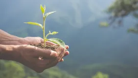 Direito ambiental