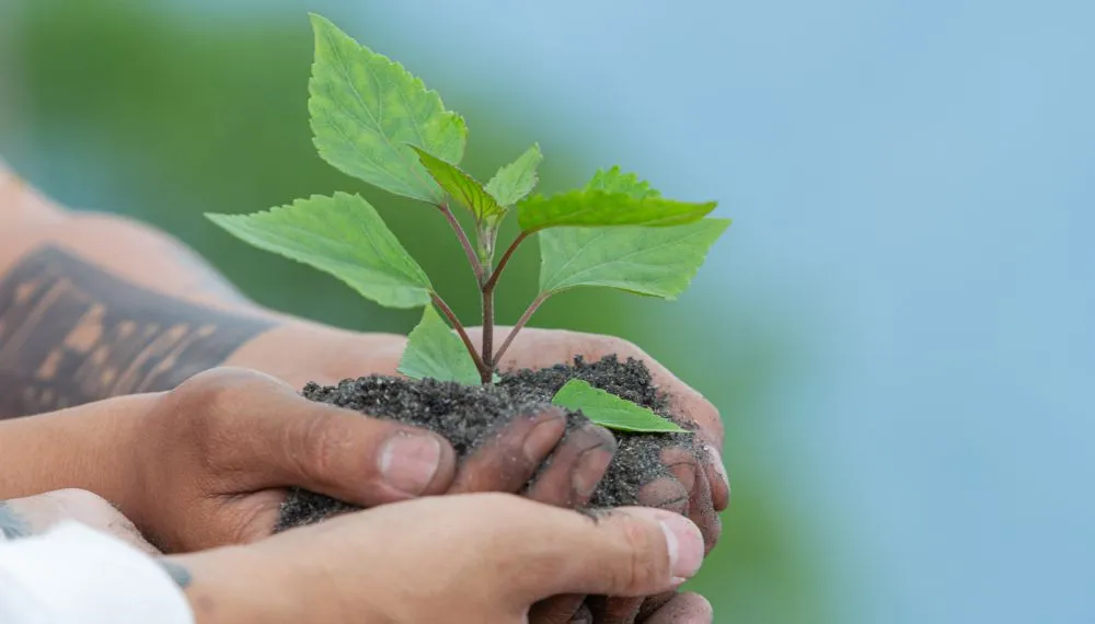 Ecologia, manejo e conservação